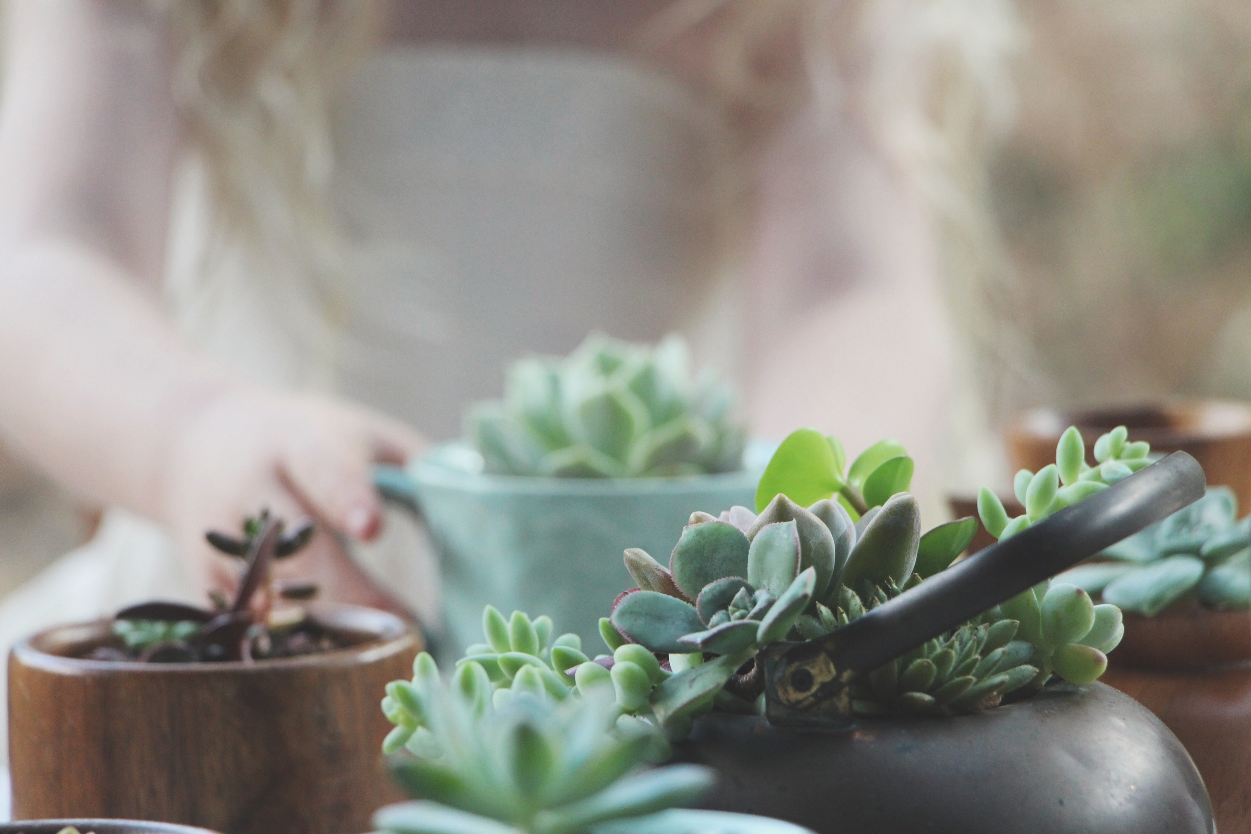 A Succulent Tea Party via Needles + Leaves :: we styled this photo shoot with succulents in a teapot, teacups, mason jars, a bell jar, and terra cotta pots. :: flowers, roses, daisies, babies breath::&nbsp;vintage inspired owl, reused, repurposed, s…